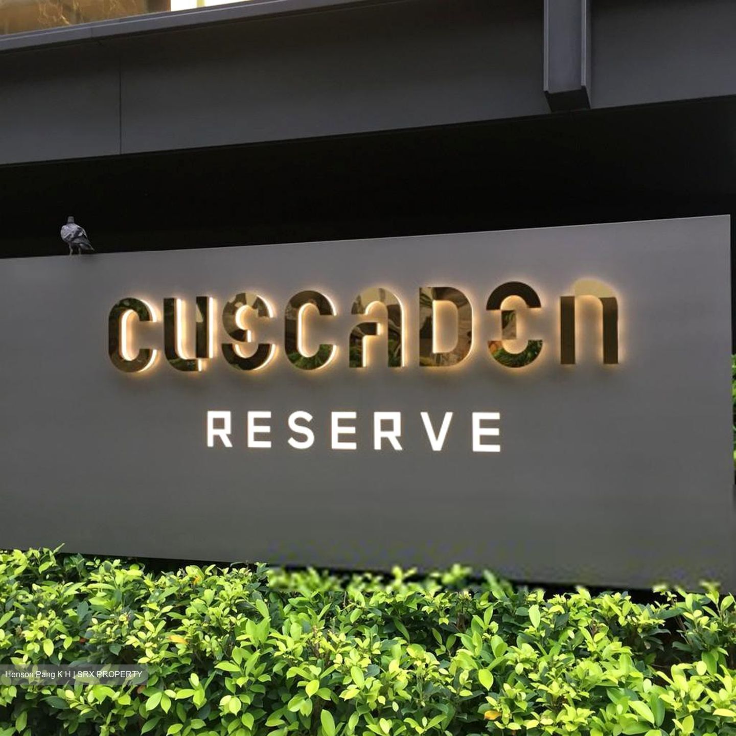 Cuscaden Reserve (D10), Condominium #336668071